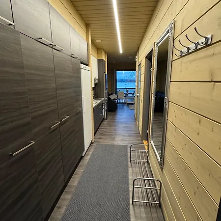 Ellivuori 5, Rauta *