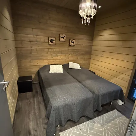 Ellivuori 5, Rauta *