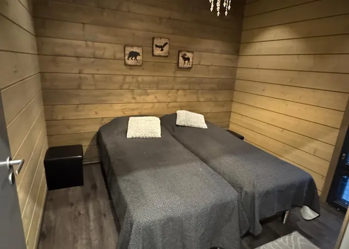 Ellivuori 5, Rauta *