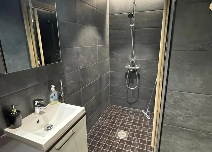 Ellivuori 5, Rauta *